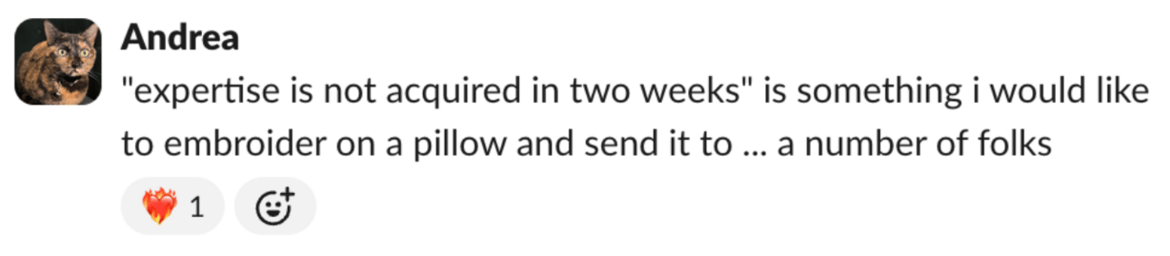 A screencap of a Slack message from Andrea, who says: ""expertise is not acquired in two weeks" is something i would like to embroider on a pillow and send it to ... a number of folks"