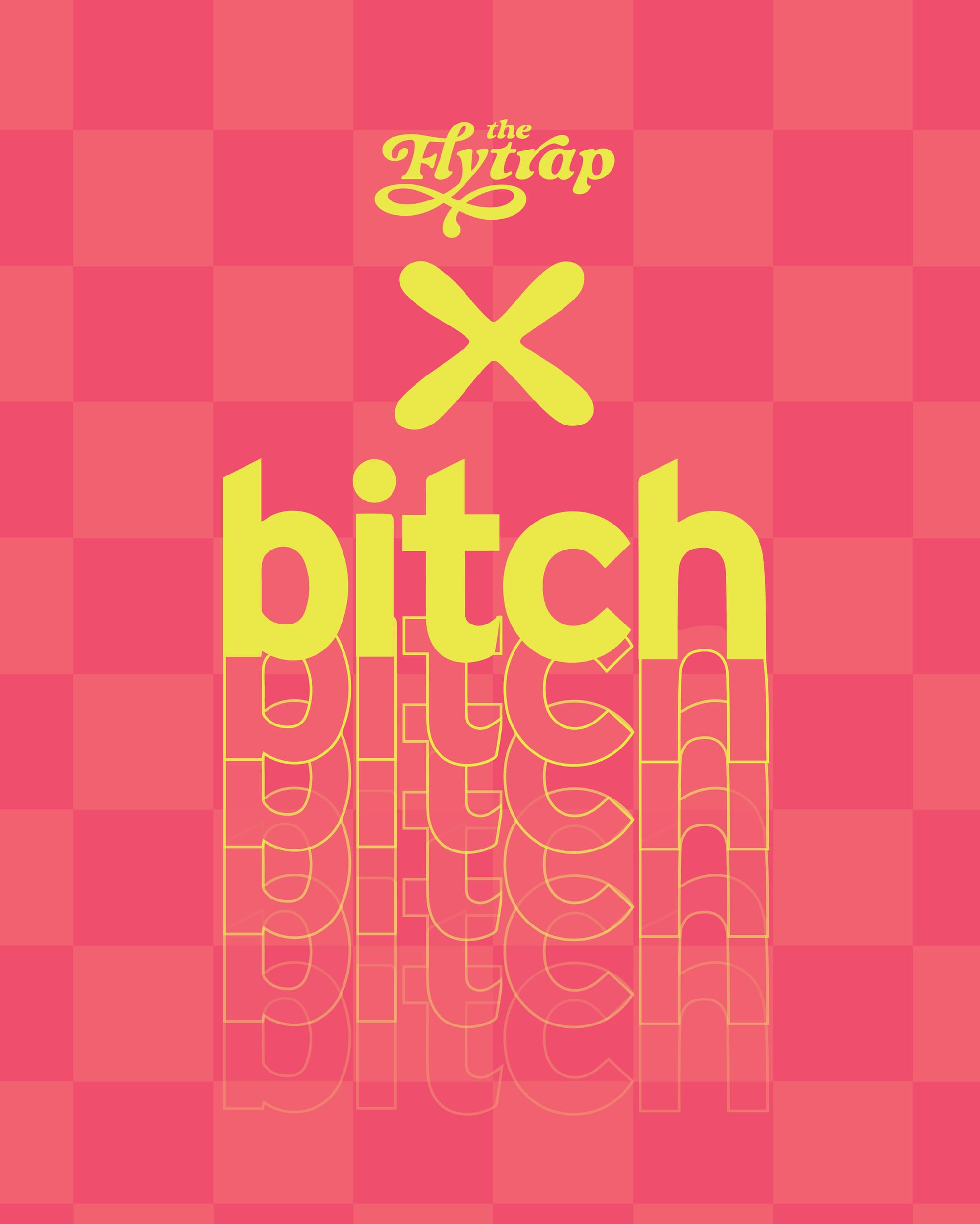 FlytrapxBitch in yellow against a pink checkered background. Bitch repeats itself in a slow fade. 