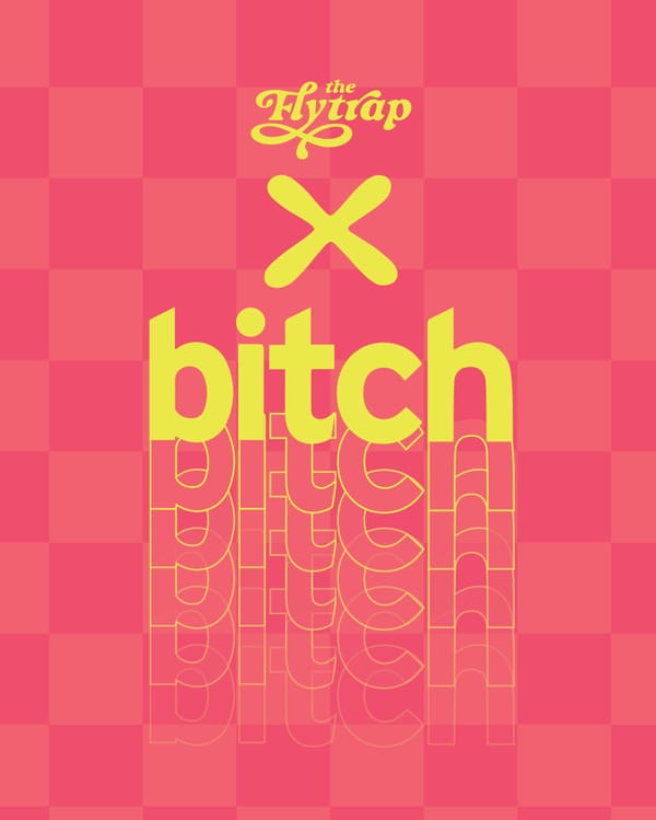 FlytrapxBitch in yellow against a pink checkered background. Bitch repeats itself in a slow fade. 